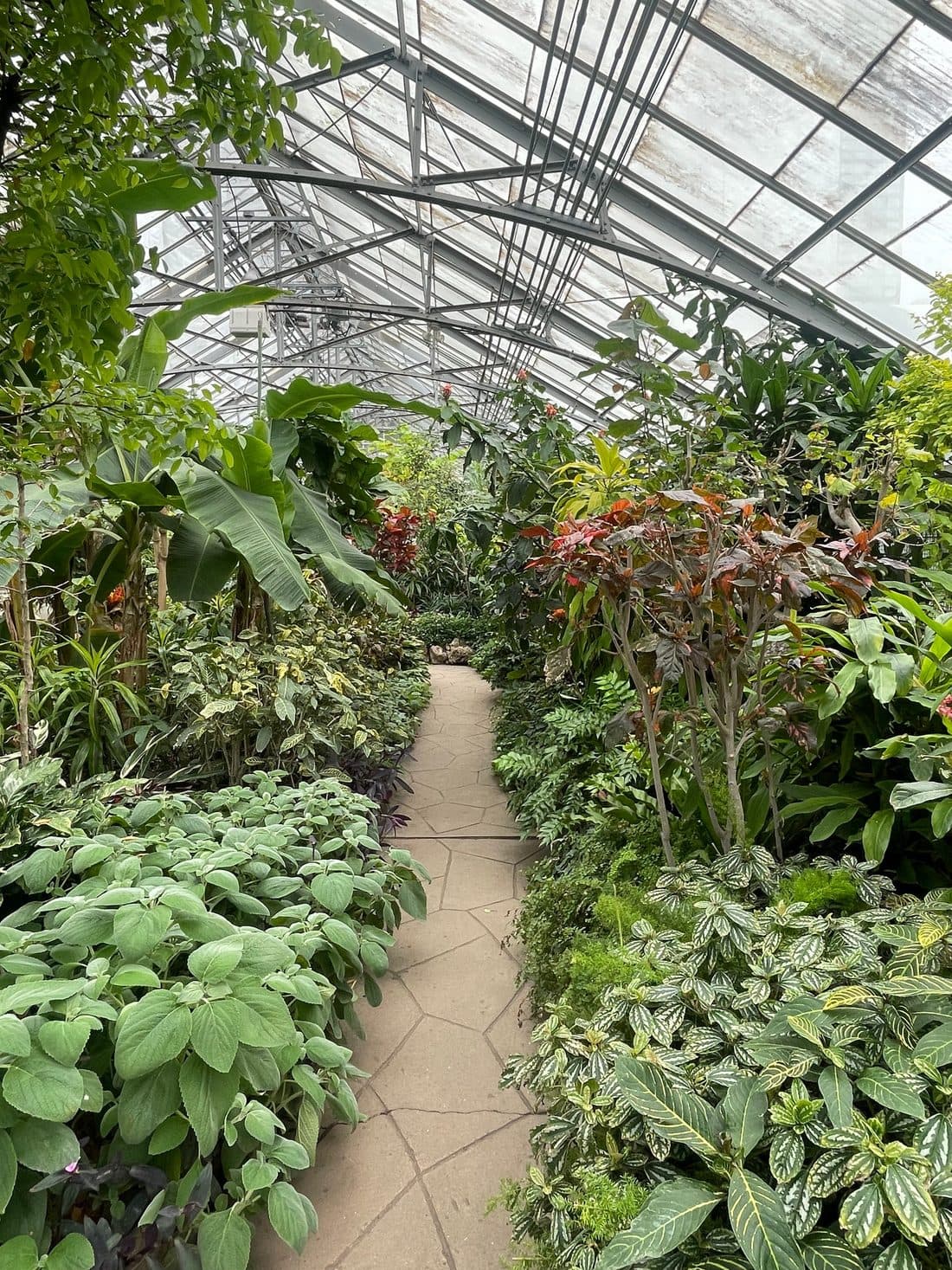 A Botanical Garden Visit
